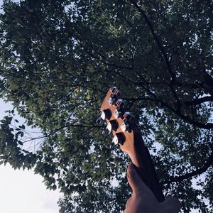 国产高清舔逼视频
